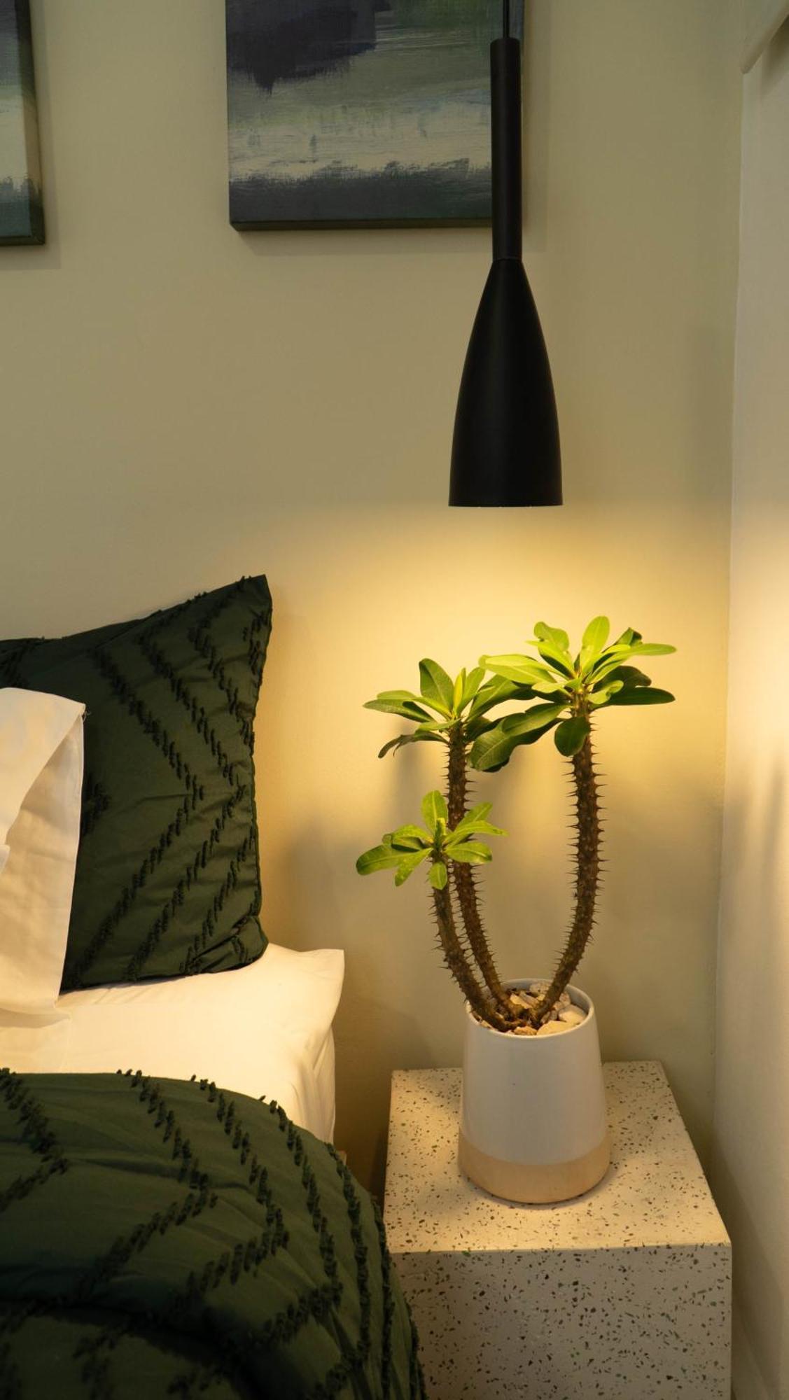 Hotel Ventura Quesada  Eksteriør billede